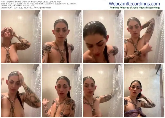 stripchat-cjndee-06-30-2024-01-01-49