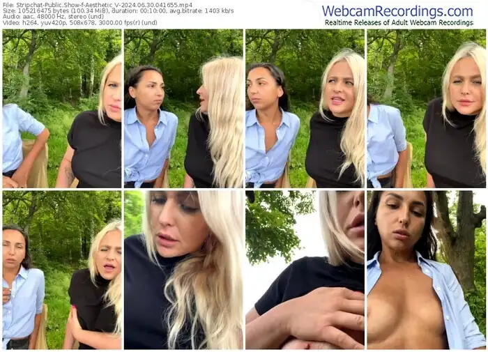 stripchat-aesthetic_v-06-30-2024-04-16-55