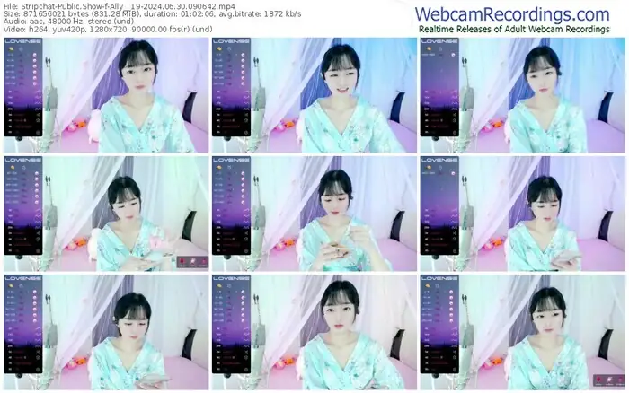 stripchat-ally__19-06-30-2024-09-06-42