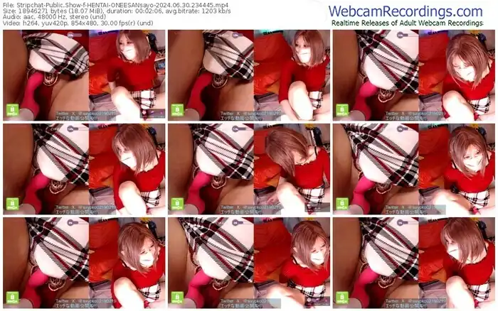 stripchat-hentai-oneesansayo-06-30-2024-23-44-45