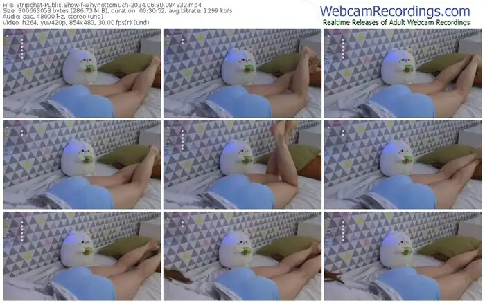 stripchat-whynottomuch-06-30-2024-08-43-32