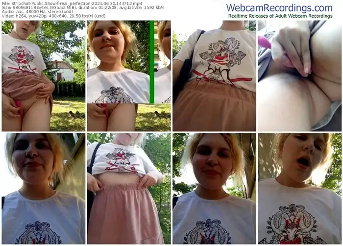 stripchat-real_perfection-06-30-2024-14-47-12