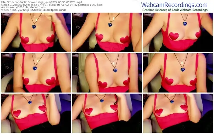 stripchat-sage_love-06-30-2024-00-37-51