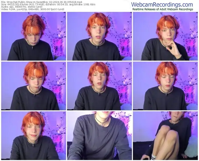 stripchat-sweetboy_02-06-30-2024-05-56-18