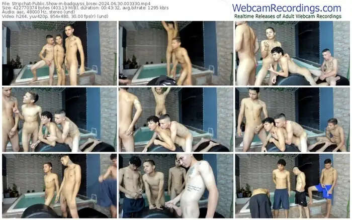 stripchat-badguyss_bisex-06-30-2024-00-33-30