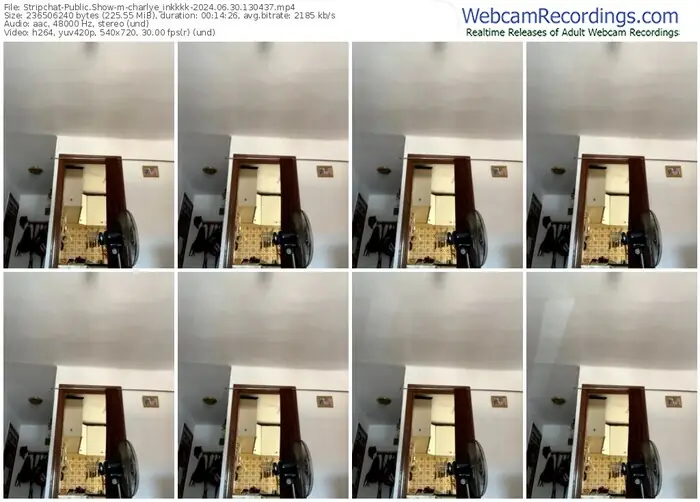stripchat-charlye_inkkkk-06-30-2024-13-04-37