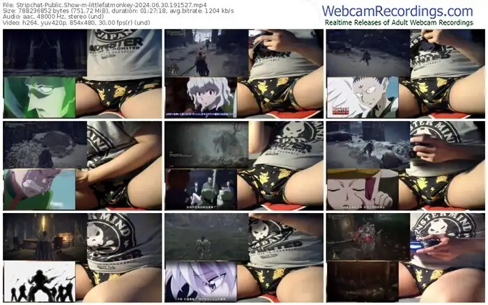 stripchat-littlefatmonkey-06-30-2024-19-15-27