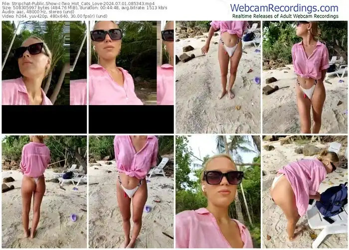 stripchat-two_hot_cats_love-07-01-2024-08-53-43