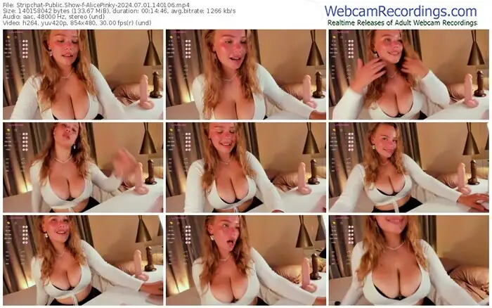 stripchat-alicepinky-07-01-2024-14-01-06