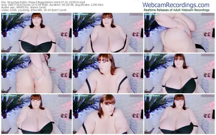 stripchat-biggymelon-07-01-2024-15-35-19