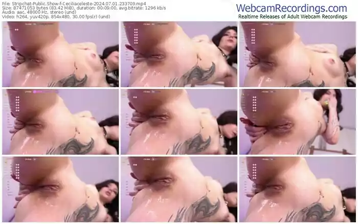 stripchat-ceciliaceleste-07-01-2024-23-37-09