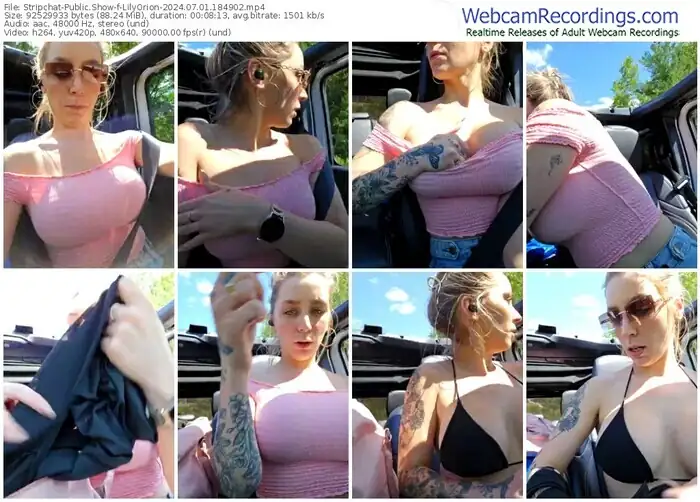 stripchat-lilyorion-07-01-2024-18-49-02