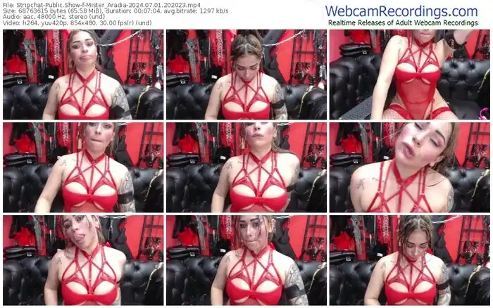 stripchat-mister_aradia-07-01-2024-20-20-23