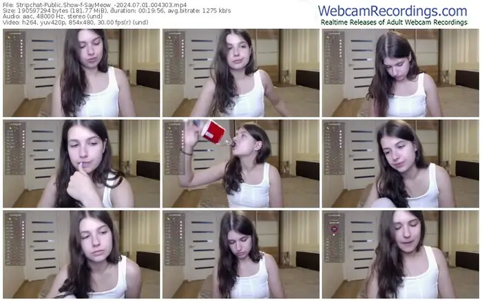 stripchat-saymeow_-07-01-2024-00-43-03