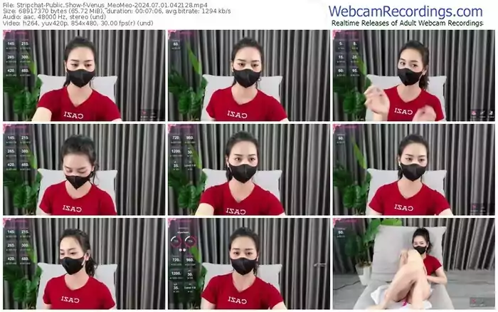 stripchat-venus_meomeo-07-01-2024-04-21-28