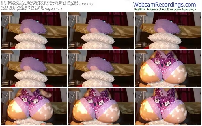 stripchat-mollyguns-07-01-2024-21-30-52