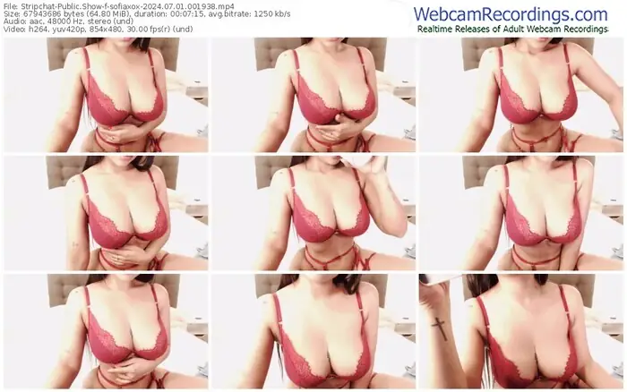 stripchat-sofiaxox-07-01-2024-00-19-38