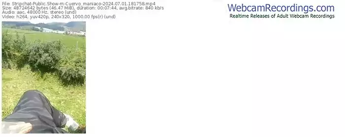 stripchat-cuervo_maniaco-07-01-2024-18-17-58