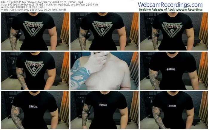 stripchat-tonywilcox-07-01-2024-13-15-21