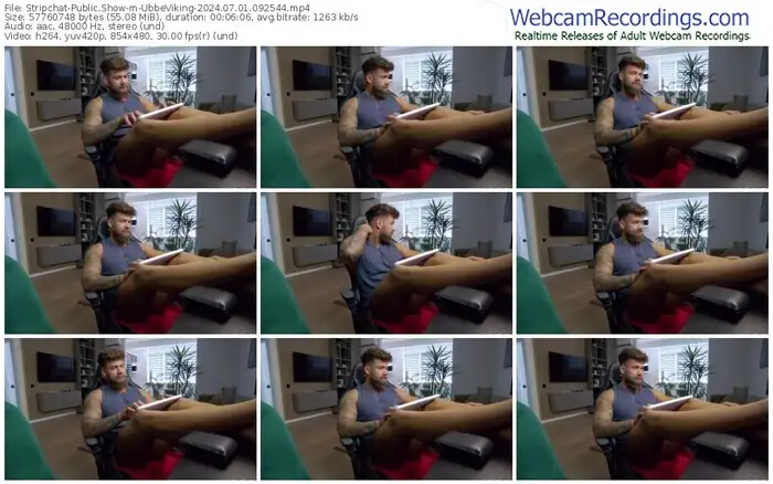 stripchat-ubbeviking-07-01-2024-09-25-44