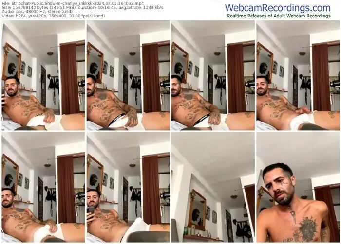 stripchat-charlye_inkkkk-07-01-2024-16-40-32