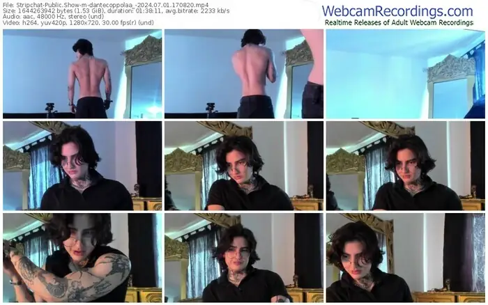 stripchat-dantecoppolaa_-07-01-2024-17-08-20