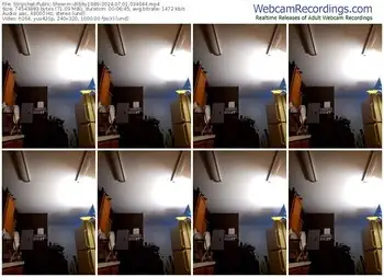 stripchat-dlibby1989-07-01-2024-03-40-44