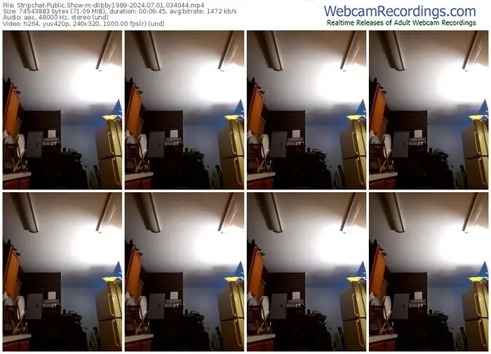 stripchat-dlibby1989-07-01-2024-03-40-44