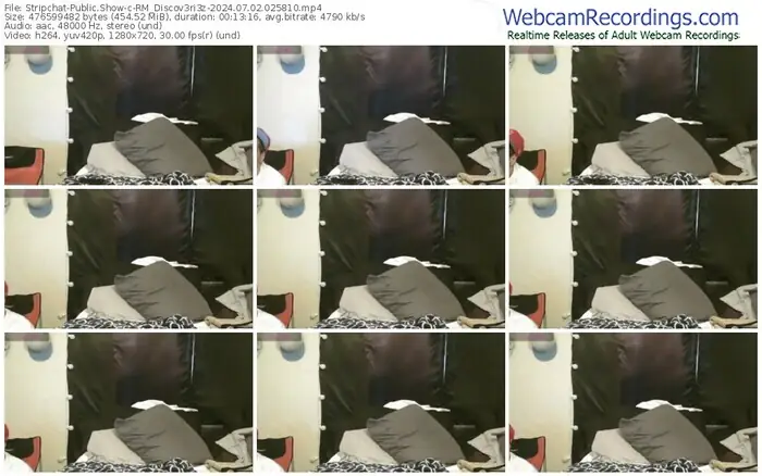 stripchat-rm_discov3ri3z-07-02-2024-02-58-10