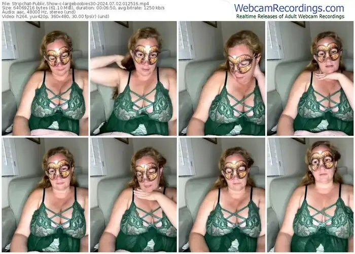 stripchat-largeboobies30-07-02-2024-01-25-16