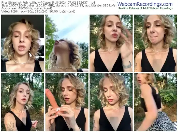 stripchat-caseystuff-07-02-2024-15-26-37