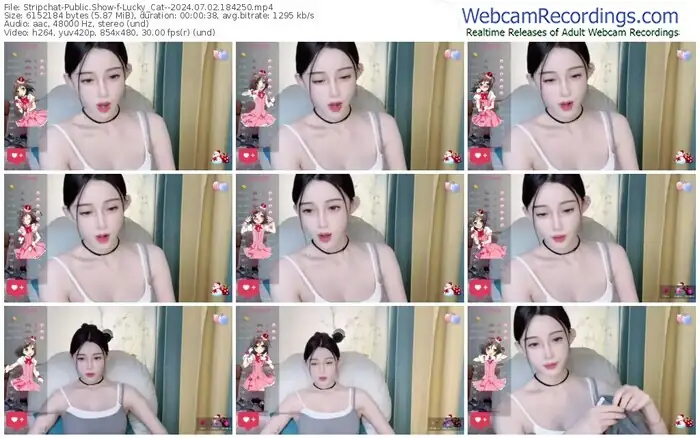 stripchat-lucky_cat--07-02-2024-18-42-50