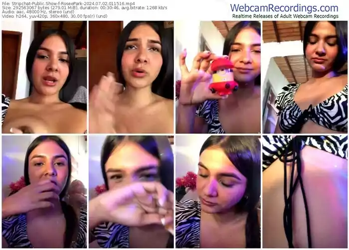 stripchat-roseepark-07-02-2024-01-15-16