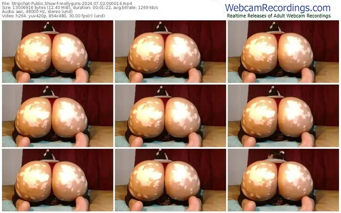 stripchat-mollyguns-07-02-2024-00-00-14