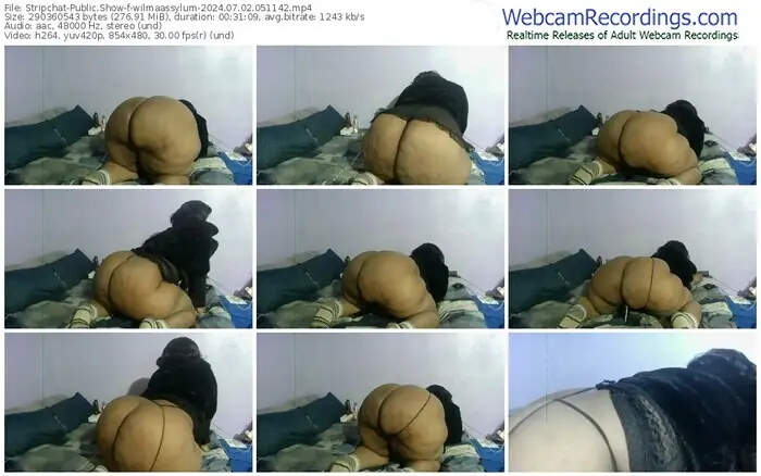 stripchat-wilmaassylum-07-02-2024-05-11-42
