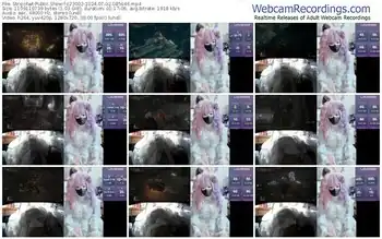 stripchat-z23002-07-02-2024-08-56-46