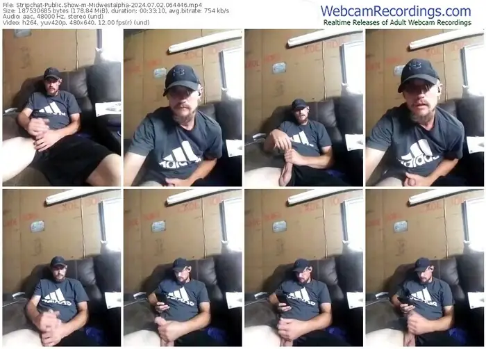 stripchat-midwestalpha-07-02-2024-06-44-46