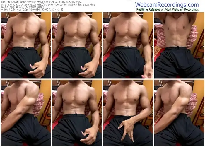 stripchat-wild_beast-07-02-2024-09-51-02