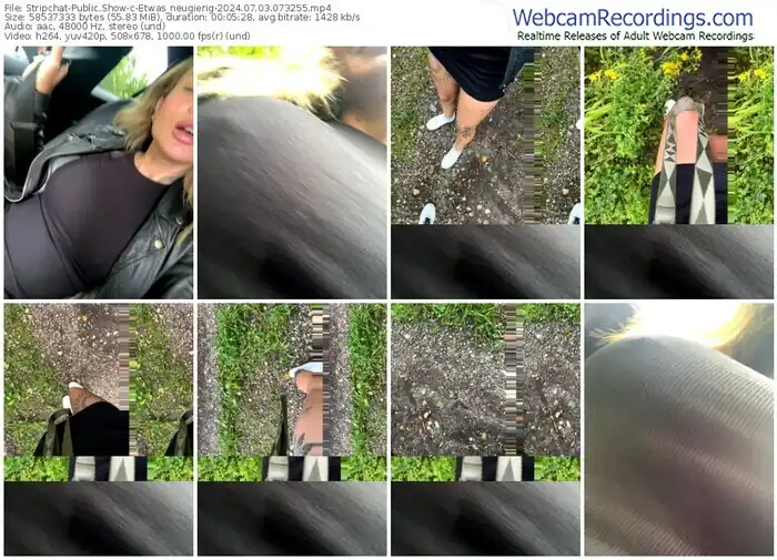 stripchat-etwas_neugierig-07-03-2024-07-32-55