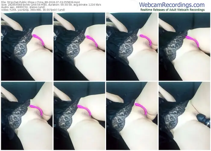 stripchat-tiina_88-07-03-2024-05-58-39