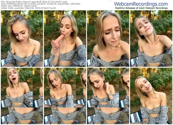 stripchat-caseystuff-07-03-2024-16-30-57