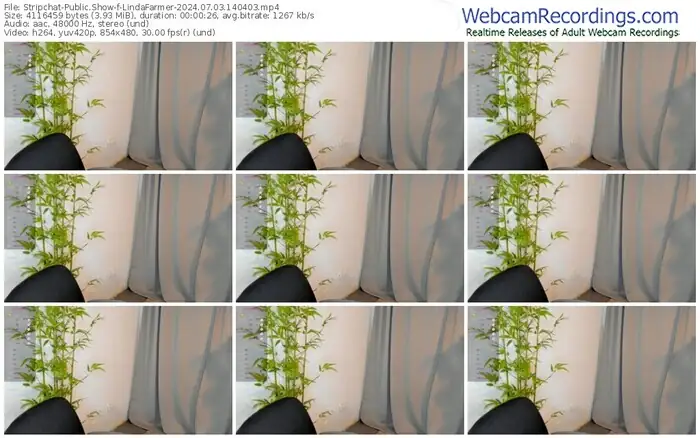 stripchat-lindafarmer-07-03-2024-14-04-03