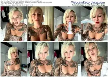 stripchat-stella-kink-07-03-2024-13-20-15