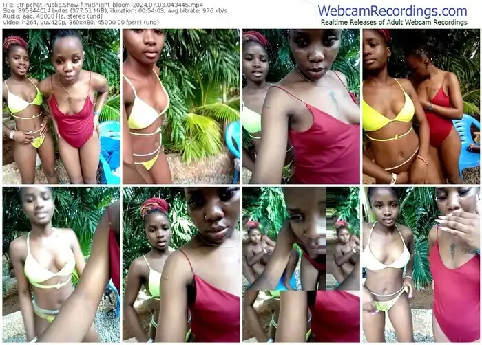 stripchat-midnight_bloom-07-03-2024-04-34-45