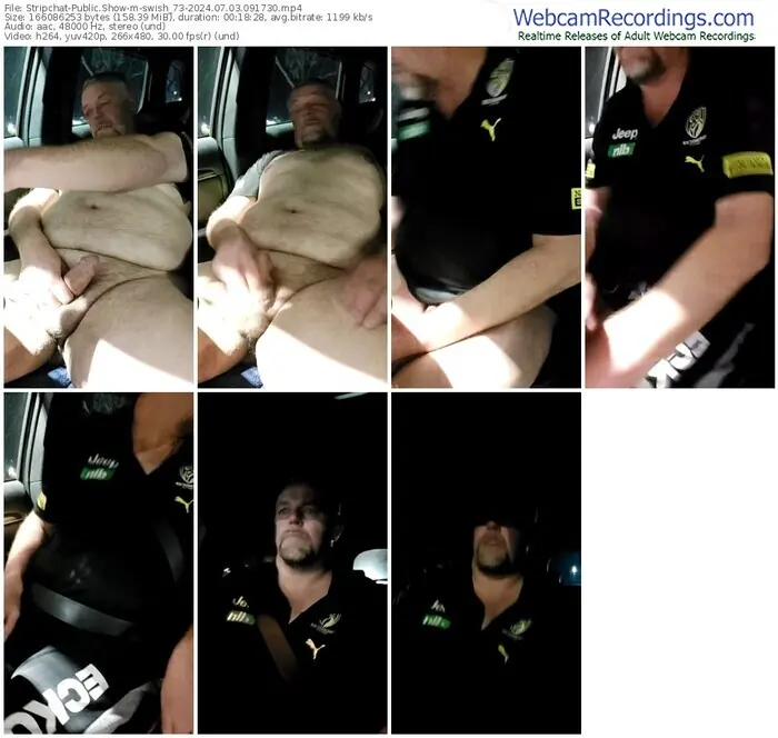 stripchat-swish_73-07-03-2024-09-17-30