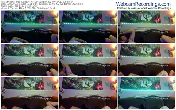 stripchat-cloudycuddler-07-04-2024-11-39-03