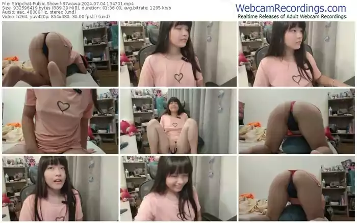 stripchat-87wawa-07-04-2024-13-47-01