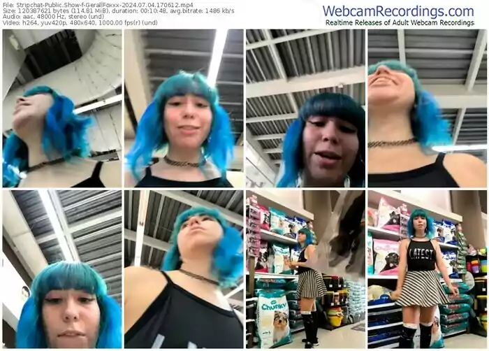 stripchat-gerallfoxxx-07-04-2024-17-06-12