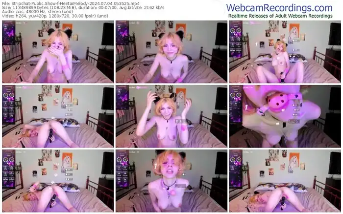 stripchat-hentaimelody-07-04-2024-05-35-25