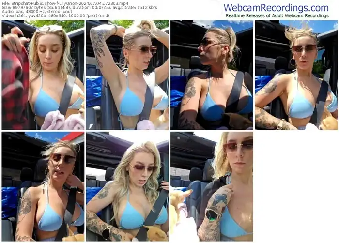 stripchat-lilyorion-07-04-2024-17-23-03